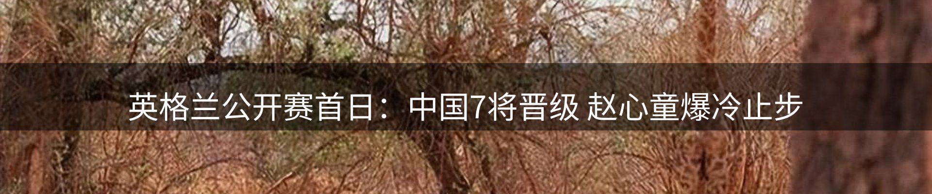 新闻解析